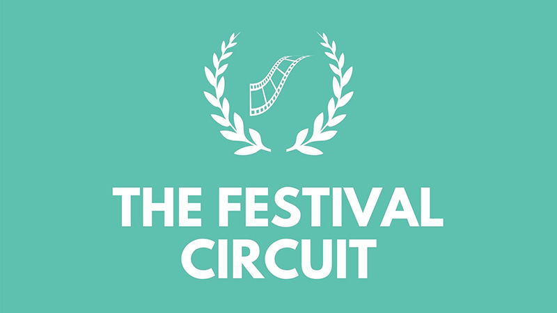 online course_how to pitch a movie_festival circuit